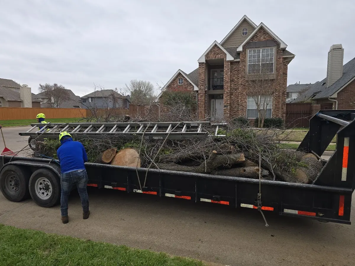 Expert Lot Clearing with proper safety equipment in Ardara